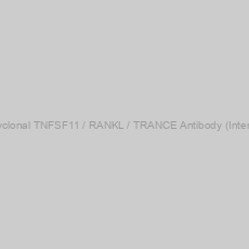 Image of Polyclonal TNFSF11 / RANKL / TRANCE Antibody (Internal)